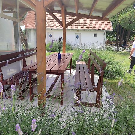 Mirella Rooms Palic Luaran gambar